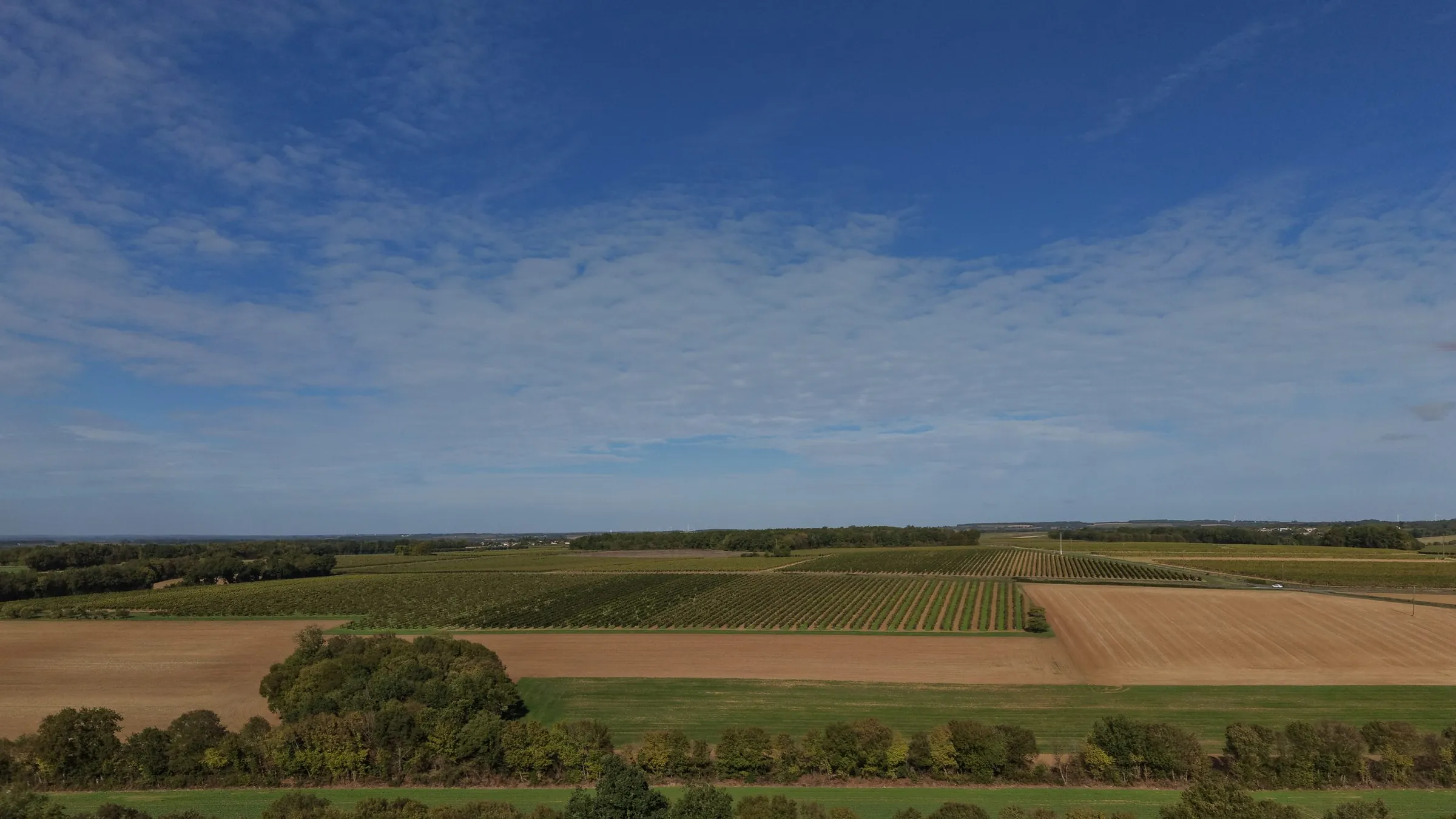 Vignes et champs de Charente sous un grand ciel, photographiés au drone