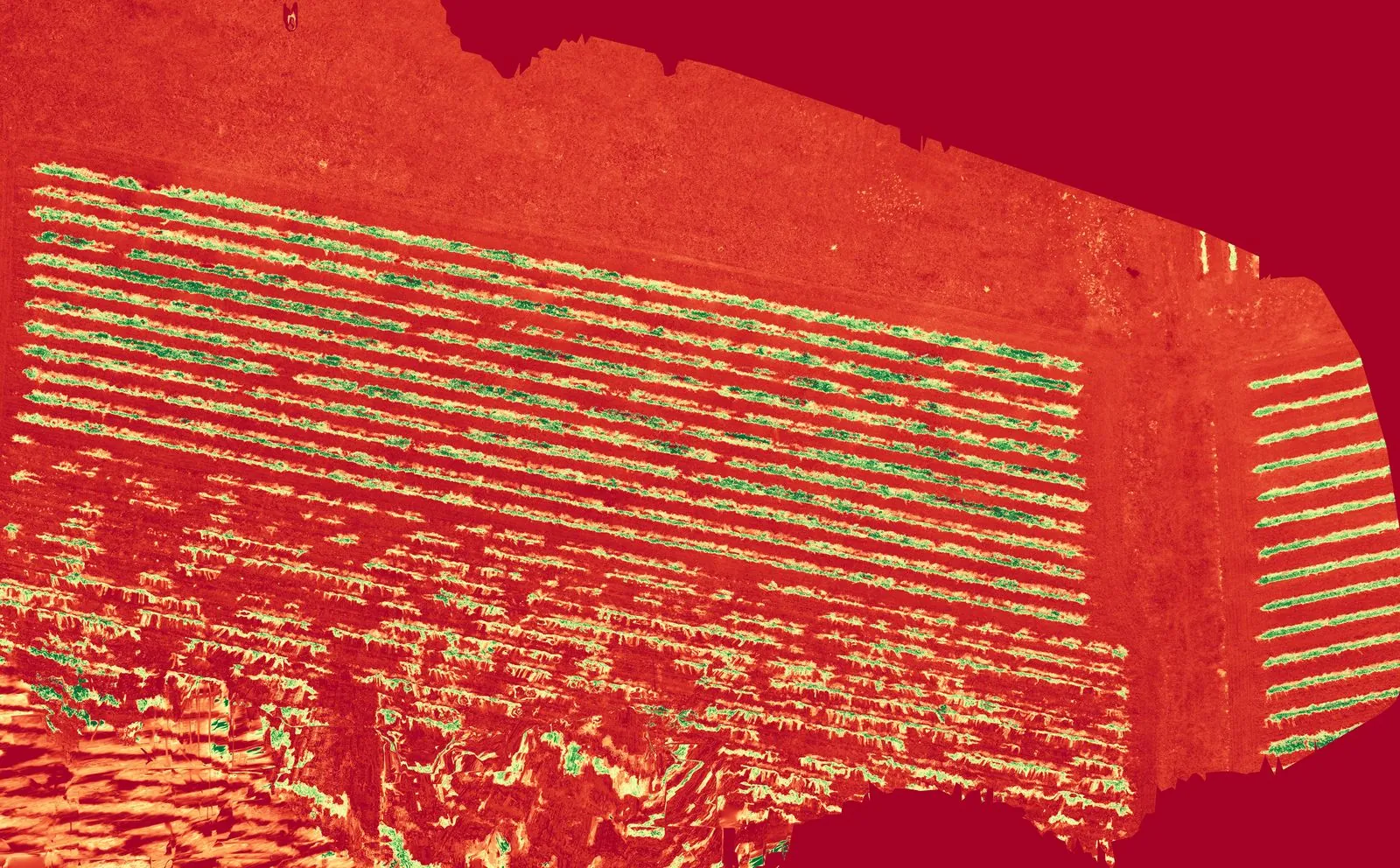 Carte de vigueur d'une parcelle de vigne